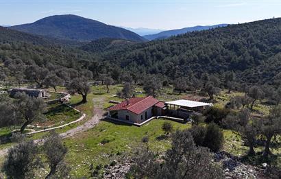 Bodrum Kızılağaç satılık arazi (Çiftlik,  yoga merkezi, özel yaşam alanına uygun)