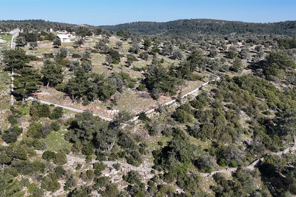 Bodrum Kızılağaç satılık arazi (Çiftlik,  yoga merkezi, özel yaşam alanına uygun)