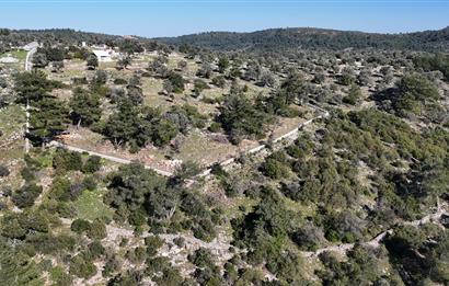 Bodrum Kızılağaç satılık arazi (Çiftlik,  yoga merkezi, özel yaşam alanına uygun)