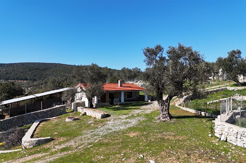 Bodrum Kızılağaç satılık arazi (Çiftlik,  yoga merkezi, özel yaşam alanına uygun)