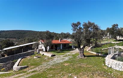 Bodrum Kızılağaç satılık arazi (Çiftlik,  yoga merkezi, özel yaşam alanına uygun)