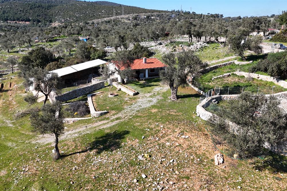 Bodrum Kızılağaç satılık arazi (Çiftlik,  yoga merkezi, özel yaşam alanına uygun)