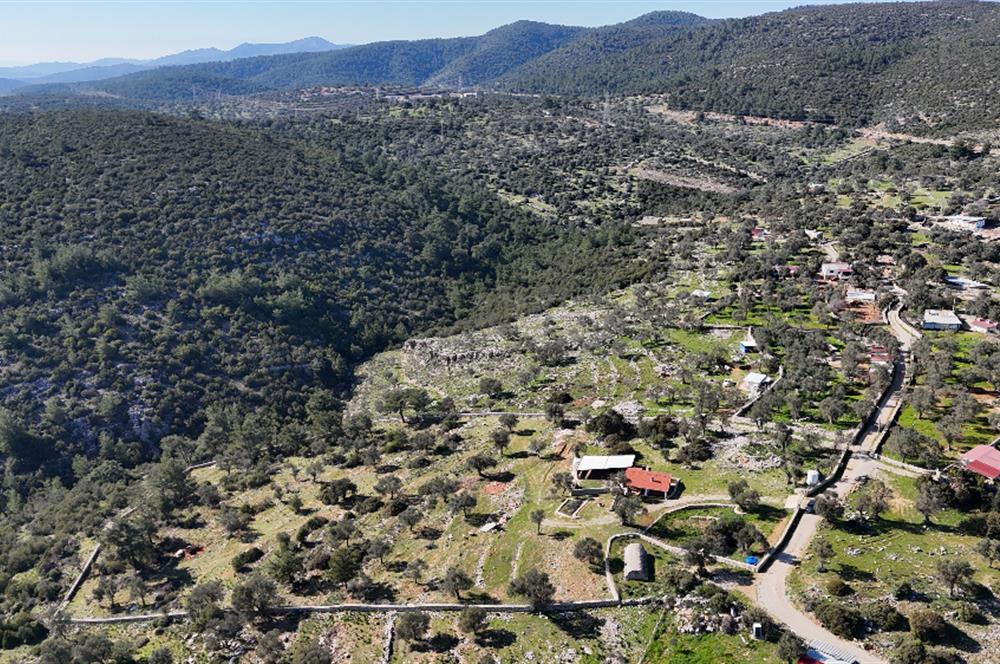 Bodrum Kızılağaç satılık arazi (Çiftlik,  yoga merkezi, özel yaşam alanına uygun)