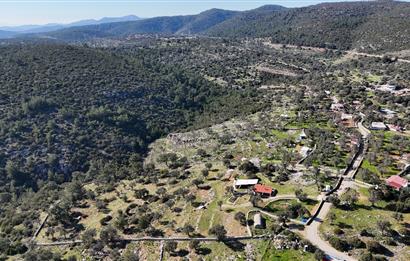 Bodrum Kızılağaç satılık arazi (Çiftlik,  yoga merkezi, özel yaşam alanına uygun)