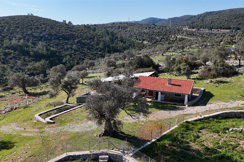 Bodrum Kızılağaç satılık arazi (Çiftlik,  yoga merkezi, özel yaşam alanına uygun)