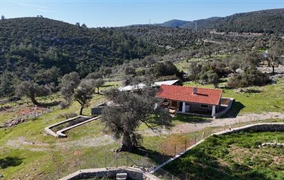 Bodrum Kızılağaç satılık arazi (Çiftlik,  yoga merkezi, özel yaşam alanına uygun)