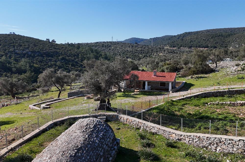 Bodrum Kızılağaç satılık arazi (Çiftlik,  yoga merkezi, özel yaşam alanına uygun)