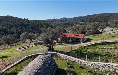 Bodrum Kızılağaç satılık arazi (Çiftlik,  yoga merkezi, özel yaşam alanına uygun)