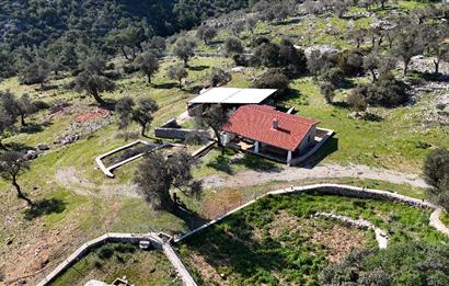 Bodrum Kızılağaç satılık arazi (Çiftlik,  yoga merkezi, özel yaşam alanına uygun)