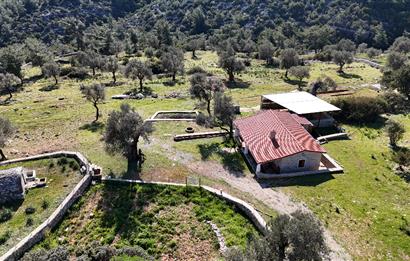 Bodrum Kızılağaç satılık arazi (Çiftlik,  yoga merkezi, özel yaşam alanına uygun)