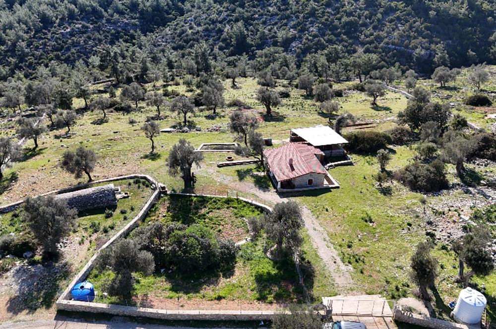 Bodrum Kızılağaç satılık arazi (Çiftlik,  yoga merkezi, özel yaşam alanına uygun)