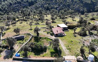 Bodrum Kızılağaç satılık arazi (Çiftlik,  yoga merkezi, özel yaşam alanına uygun)