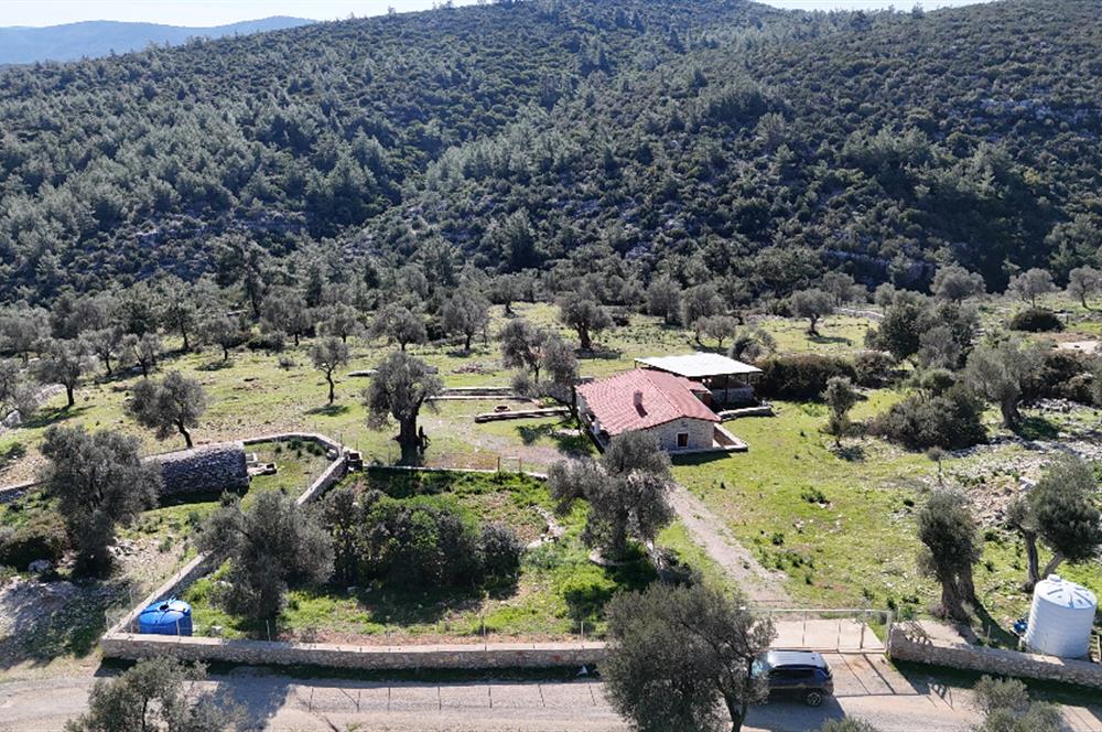 Bodrum Kızılağaç satılık arazi (Çiftlik,  yoga merkezi, özel yaşam alanına uygun)