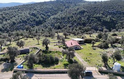 Bodrum Kızılağaç satılık arazi (Çiftlik,  yoga merkezi, özel yaşam alanına uygun)