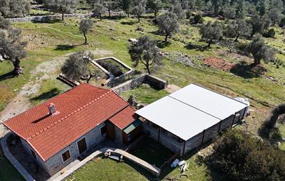 Bodrum Kızılağaç satılık arazi (Çiftlik,  yoga merkezi, özel yaşam alanına uygun)