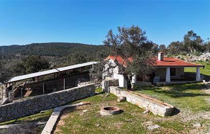 Bodrum Kızılağaç satılık arazi (Çiftlik,  yoga merkezi, özel yaşam alanına uygun)