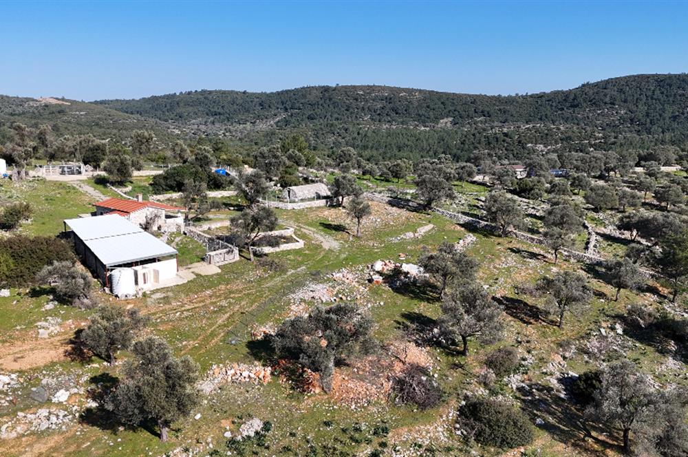 Bodrum Kızılağaç satılık arazi (Çiftlik,  yoga merkezi, özel yaşam alanına uygun)