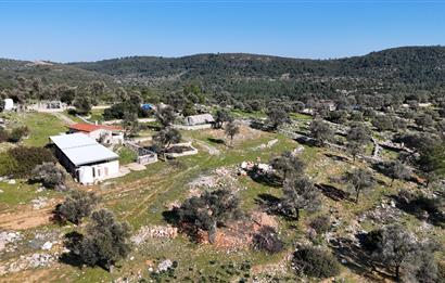 Bodrum Kızılağaç satılık arazi (Çiftlik,  yoga merkezi, özel yaşam alanına uygun)