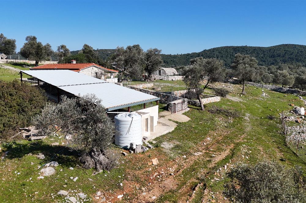 Bodrum Kızılağaç satılık arazi (Çiftlik,  yoga merkezi, özel yaşam alanına uygun)