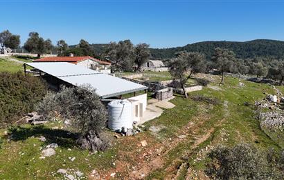 Bodrum Kızılağaç satılık arazi (Çiftlik,  yoga merkezi, özel yaşam alanına uygun)