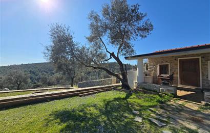 Bodrum Kızılağaç satılık arazi (Çiftlik,  yoga merkezi, özel yaşam alanına uygun)