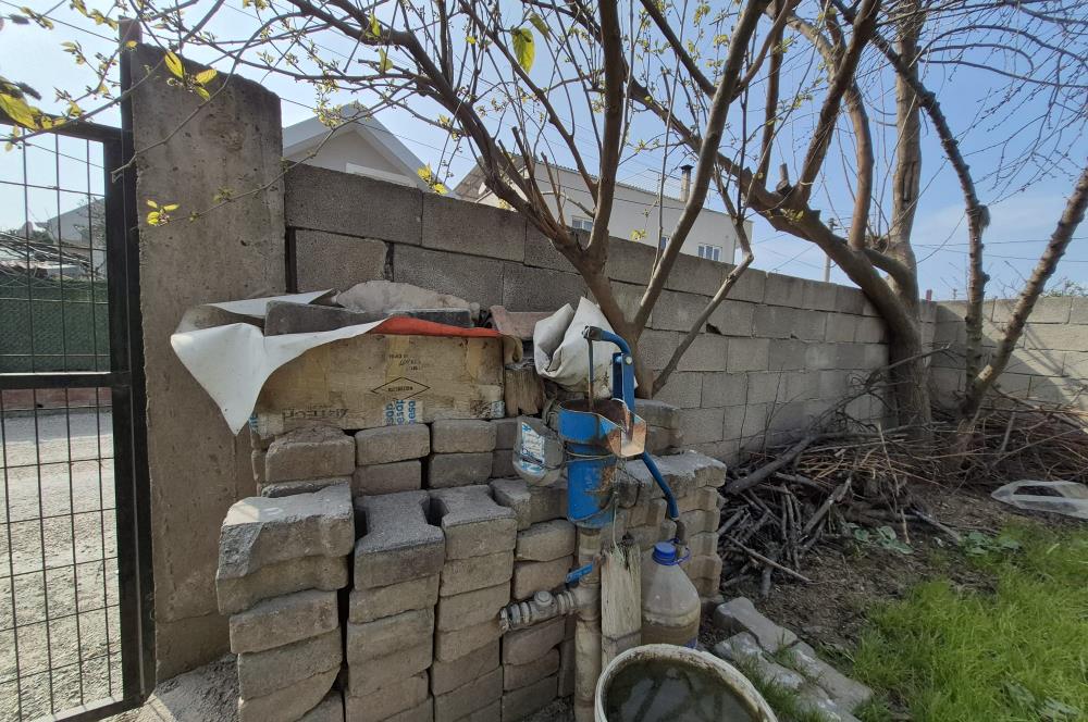 C21 Cius; Kumsaz'da Bahçeli Çift Cephe Yeni Yapı Müstakil Ev