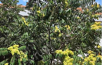 MÜZE GAZHANE DİBİNDE 2+1 KİRALIK FERAH METRO & METROBÜSE YAKINI