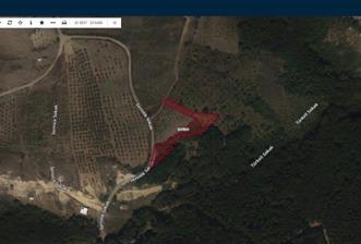 Şile Kelem'de Turizm İmarlı, 1577m² Müstakil Tapulu Arsa - 5 - 32828