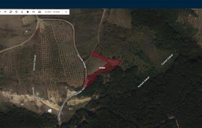 Şile Kelem'de Turizm İmarlı, 1577m² Müstakil Tapulu Arsa