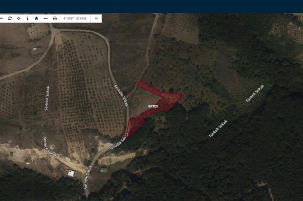 Şile Kelem'de Turizm İmarlı, 1577m² Müstakil Tapulu Arsa