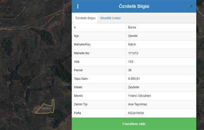 Katırlı'da Satılık 6695 m² Bakımlı Zeytinlik - Yatırım Fırsatı