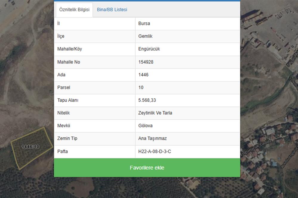 C21 Cius; Serbest bölgede 5568 m2 Satılık Zeytinlik