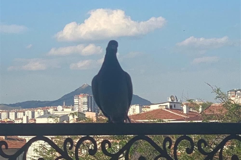 Tunalı ve Kızılay'a yürüme mesafesinde muhteşem teraslı dublex