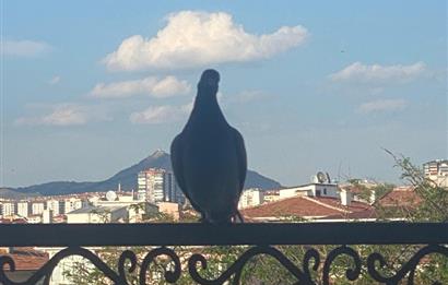 Tunalı ve Kızılay'a yürüme mesafesinde muhteşem teraslı dublex