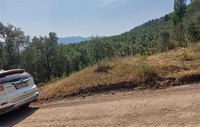 Yeni Köy'de 240 m² Hobi Bahçesi İmkanlı Tarla - Asfalt Yakını