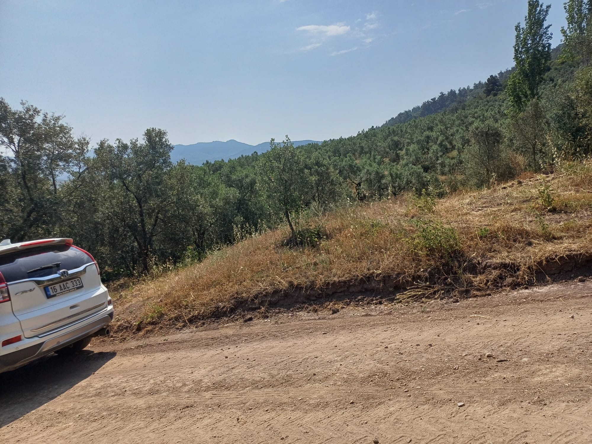 Yeni Köy'de 240 m² Hobi Bahçesi İmkanlı Tarla - Asfalt Yakını