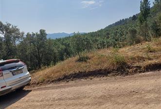 Yeni Köy'de 240 m² Hobi Bahçesi İmkanlı Tarla - Asfalt Yakını - 7 - 32873