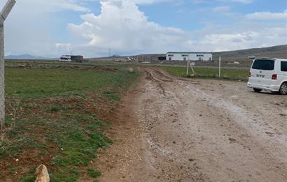 Century21 Plus'dan İscehisar/Çalışlar Köyünde Satılık Tarla