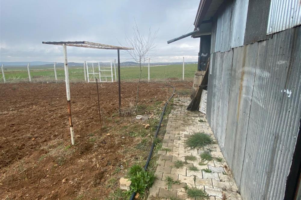 Century21 Plus'dan İscehisar/Çalışlar Köyünde Satılık Tarla