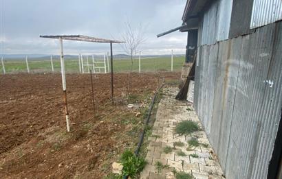 Century21 Plus'dan İscehisar/Çalışlar Köyünde Satılık Tarla