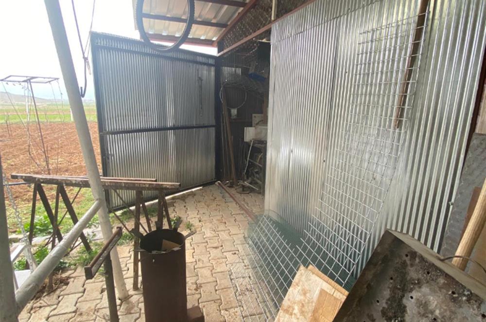 Century21 Plus'dan İscehisar/Çalışlar Köyünde Satılık Tarla