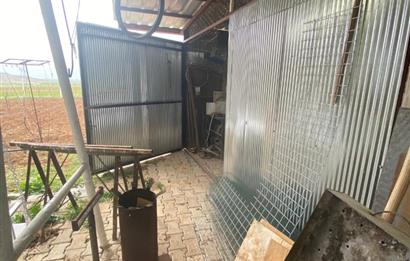 Century21 Plus'dan İscehisar/Çalışlar Köyünde Satılık Tarla