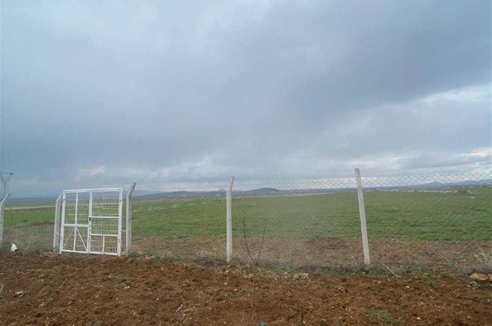 Century21 Plus'dan İscehisar/Çalışlar Köyünde Satılık Tarla