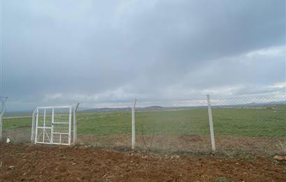 Century21 Plus'dan İscehisar/Çalışlar Köyünde Satılık Tarla