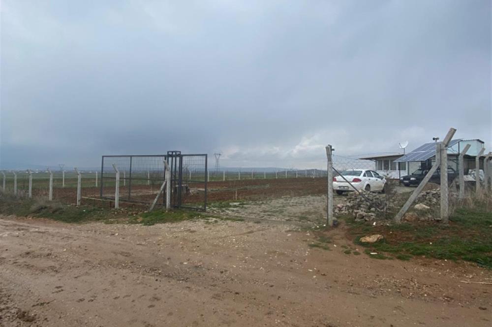 Century21 Plus'dan İscehisar/Çalışlar Köyünde Satılık Tarla