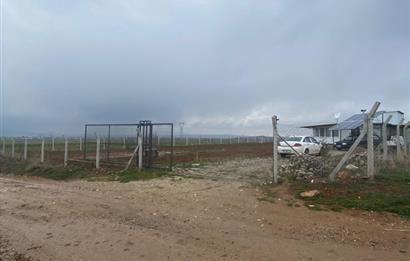 Century21 Plus'dan İscehisar/Çalışlar Köyünde Satılık Tarla