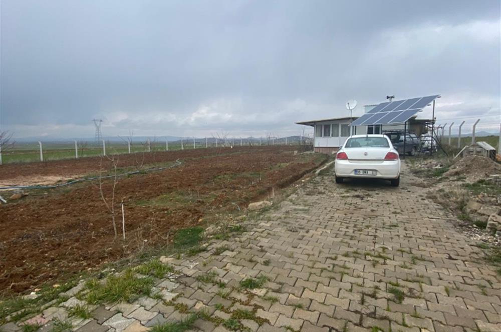 Century21 Plus'dan İscehisar/Çalışlar Köyünde Satılık Tarla