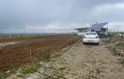 Century21 Plus'dan İscehisar/Çalışlar Köyünde Satılık Tarla