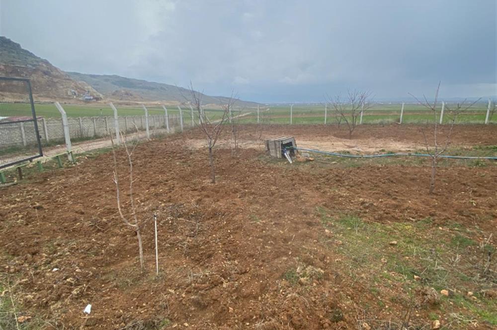 Century21 Plus'dan İscehisar/Çalışlar Köyünde Satılık Tarla