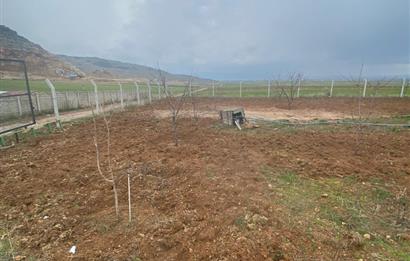 Century21 Plus'dan İscehisar/Çalışlar Köyünde Satılık Tarla